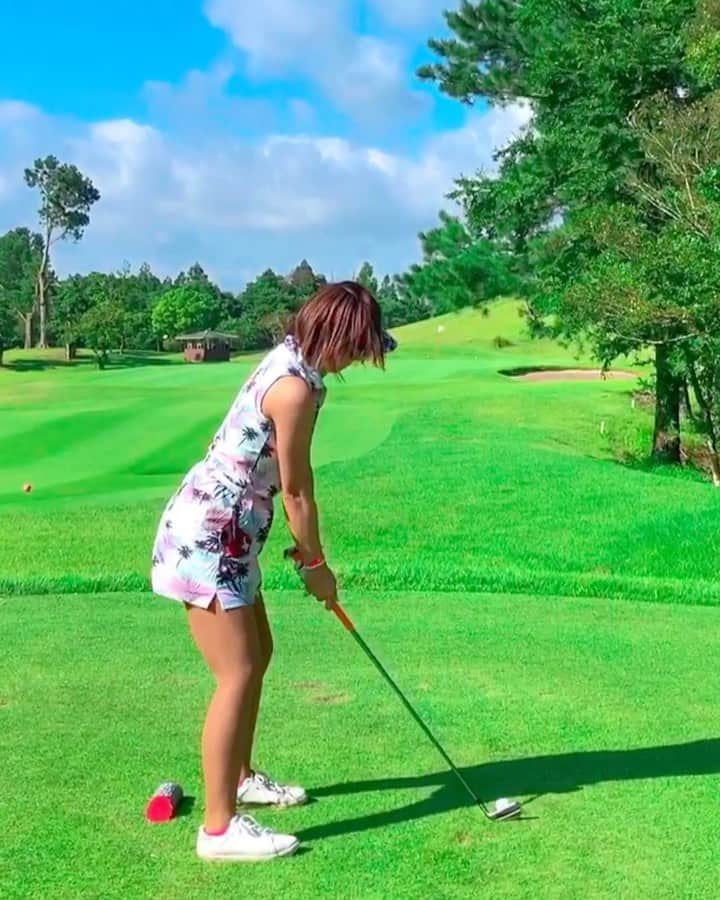 あおい夏海のグルメインスタ