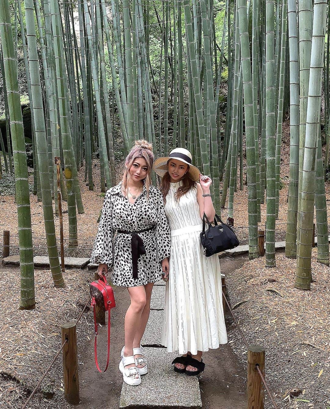𝐊𝐎𝐘𝐔𝐏𝐈𝐏𝐈 さんのインスタグラム写真 - (𝐊𝐎𝐘𝐔𝐏𝐈𝐏𝐈 Instagram)「初めてしっかり鎌倉のお寺巡りしたんだけど めちゃめちゃいい場所すぎて パワー漲る感じ。。🍃🌱🤍  滅多にお茶飲みになんて行かないから ゆっくりできてよかった🤧🤧🤎  #鎌倉 #報国寺」7月5日 21時21分 - pipi____style