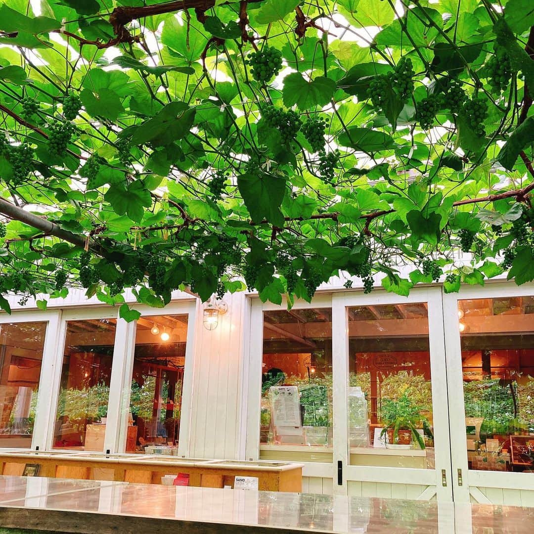 milleprintemps Japanのグルメインスタ