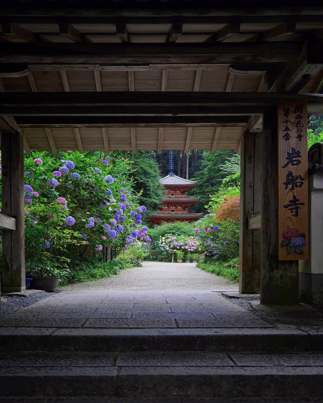 Koichiさんのインスタグラム写真 - (KoichiInstagram)「| 安治佐為  Hydrangea  . #Hellofrom #Kyoto #BeautifulJapan . #岩船寺 #京都 .」7月5日 21時23分 - koichi1717