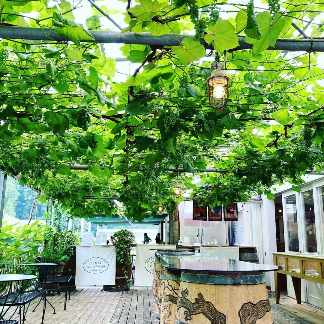 milleprintemps Japanのグルメインスタ