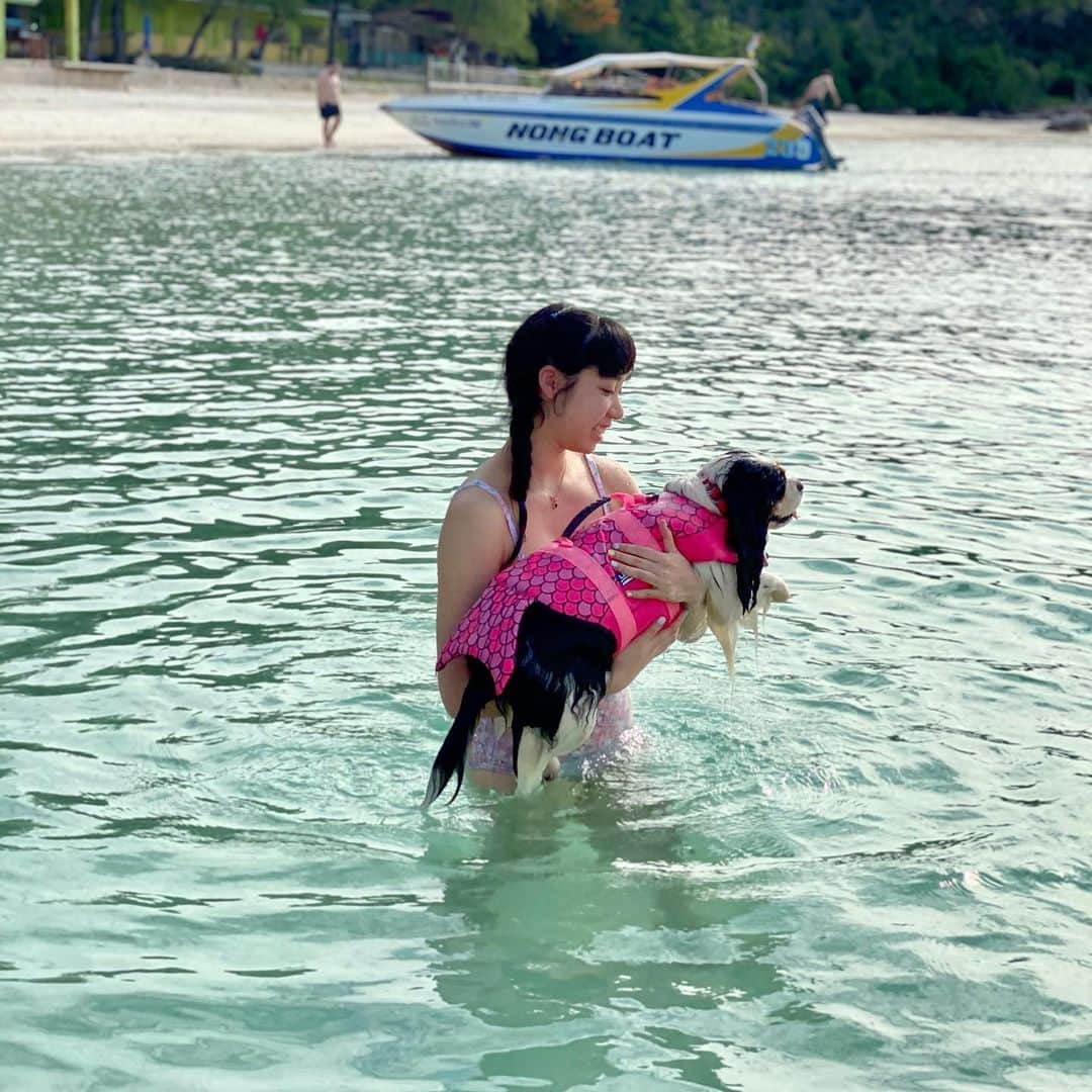 シータ・ラムサムのインスタグラム：「My relationship with my dog 🐶 summed up in a series of photos #สรุปเราซี้กันใช่มั้ย 🤔 #ยุ่งยิ่งตอบว่า #น้าใจร้ายยยย (มั้ง) 📸: @anneannie.t」