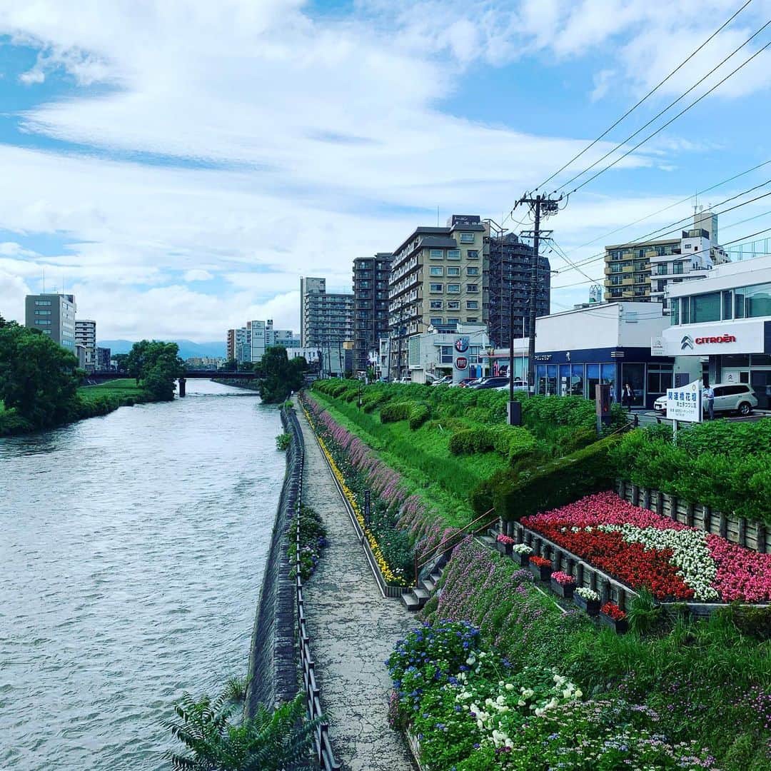大隅智子さんのインスタグラム写真 - (大隅智子Instagram)「盛岡の開運橋の花壇。 いつも季節の花があります。今はアジサイが見頃です。 #開運橋　#盛岡　#岩手　#アジサイ　#北上川」7月5日 21時37分 - tomokotenki