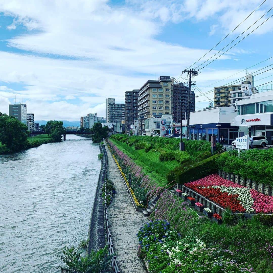 大隅智子さんのインスタグラム写真 - (大隅智子Instagram)「盛岡の開運橋の花壇。 いつも季節の花があります。今はアジサイが見頃です。 #開運橋　#盛岡　#岩手　#アジサイ　#北上川」7月5日 21時37分 - tomokotenki