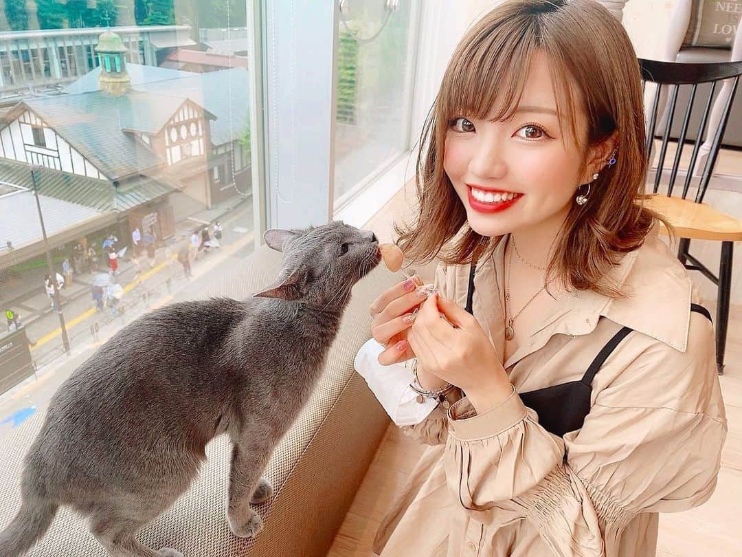 みきでりのグルメインスタ