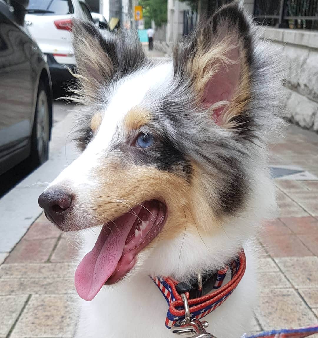 のインスタグラム：「#고니」