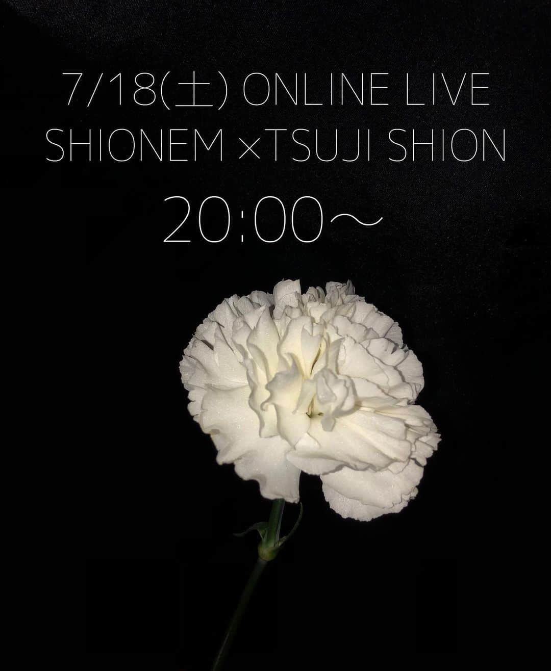 辻詩音のインスタグラム：「中止になってしまった7/18のライブですが、配信ライブが決定しました。辻詩音×SHIONEM無観客 生配信LIVE👸 「Two for the show!」 開演時間 20:00〜 チケット代金 ¥2400- ※アーカイブは2週間残ります。その間、何度でも視聴可能です。 ツイキャスチケット購入ページはオフィシャルHPからお願いします👸シャッフルは高画質高音質らしいよ！ オンラインだけのライブは初めてだけど、せっかくだからオンラインだからこそできることを探したいなと毎日考えてます。 このライブの後、22:00〜はラジオ夢中夜の最終回！この日は生放送でやる予定です📻(これは多分YouTubeからやるかな？) みんなと長く過ごせる土曜日🏰 なかなか先行きは見えませんが、私たち生きてるだけでえらい毎日なんだってこと忘れずに、生きる以外のことたくさんしてる自分たちを褒めていこうね、天才、おしゃれ、アツい！(褒め言葉のチョイス)  #辻詩音 #shionem #music #ツイキャス #配信ライブ #live #tsujishion」