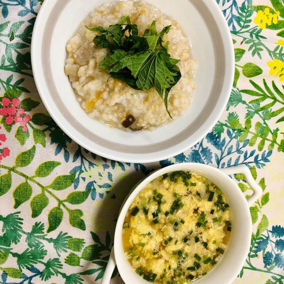 世手子さんのインスタグラム写真 - (世手子Instagram)「Feel the summer in Jinbei(　ﾟ∀ﾟ)o彡ﾟﾏﾂﾘｼﾞｬｱ! Healthy recipe supervised by a dietitian╰( ^o^)╮-｡･*･:≡🍚 Have a nice home time॑⸜(* ॑꒳ ॑* )⸝⋆* https://amzn.to/2AsJXXZ https://amzn.to/30K4Zfq @amazonfashionjp  #Amazonで発見 #komesichi 市松 水彩 #赤ちゃん甚平 💓#amazonfashionjp でセールやってたので一目惚れ✨ #親子コーデ www #甚平祭り www 夏気分だけど今なかなか外にも出れないから（；＿；） @tamahiyoinsta  #感染症対策 #たたかうバルサン  @retcolle_official  #マルイ #レトコレ で #栄養士監修 メニューで癒されたよ(*´∇｀*) 玄米とゴボウが美味しい #五目ごはん  二日目は #レンコンとトマトのキーマカレー 美味しすぎっっ 三日目は #ルーロー飯 🍛 胃と腸がすっきりして気持ちいいっっ 中々育児で大変だから時短でいいね(^ ^) とにかく #緊急事態宣言 がもう出される見込みがないので 我々が今後に備えることは #健康で いることだと思いましたっ！ #第1回赤ちゃん甚平祭り2020 ←このタグ付けてみたかったw 明日も切磋琢磨がんばるぞ！ #時短ごはん #時短レシピ #時短料理 #時短メニュー #時短飯 #時短調理 #うつわやさんアンバサダー2期募集  #赤ちゃんコーデ #ベビー甚平  #sponsored #follop @follop.jp  #monipla #retcolle_fan」7月5日 22時47分 - rojide