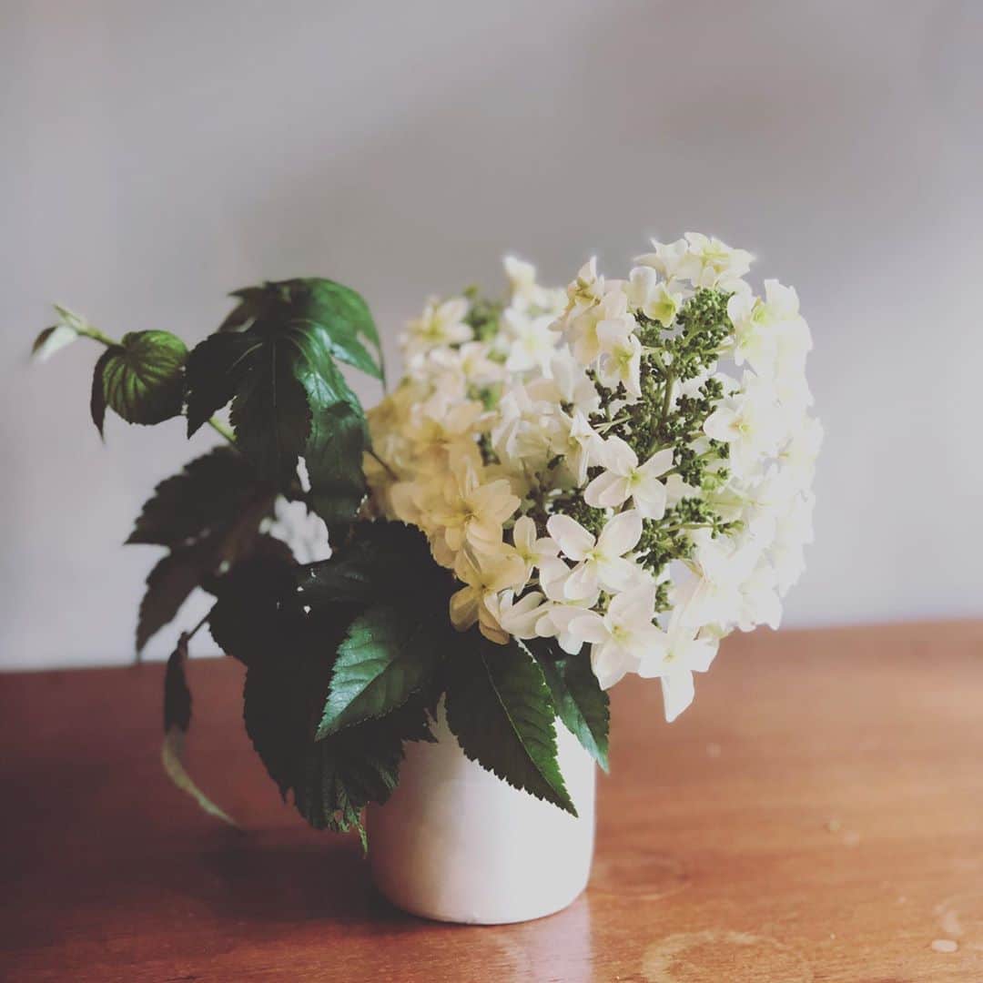 ひうらさとるのインスタグラム：「紫陽花生け替えたらまだ元気。昨日子供がぶつかって折っちゃった観葉植物の葉っぱとカラーも合わせてみました。 最近割と仕事がサクサク進んで気持ち良いのだけど、自分が気分良く描けるものが人に読んでもらって心地いいかどうかはまた別の話なんですよねー。難しいですねー。 でも結果描くしかない。若いときは色んなことを悩んでた気がするけど、歳を重ねて、悩んでる時間がもったいない、やるしかないとあんまり悩まなくなりました。 今週もお仕事に、推し活動に、子育てに。進むしかない日々を生きていきましょう。🌈」
