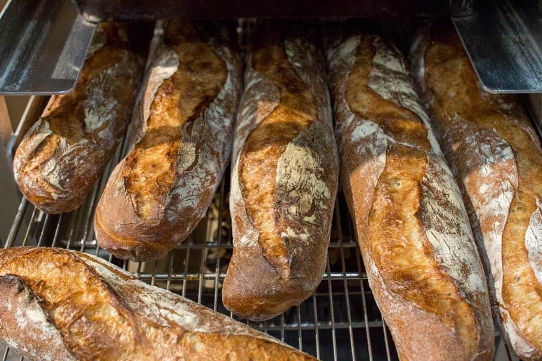 笹塚駅のパン屋さん オパンのグルメインスタ