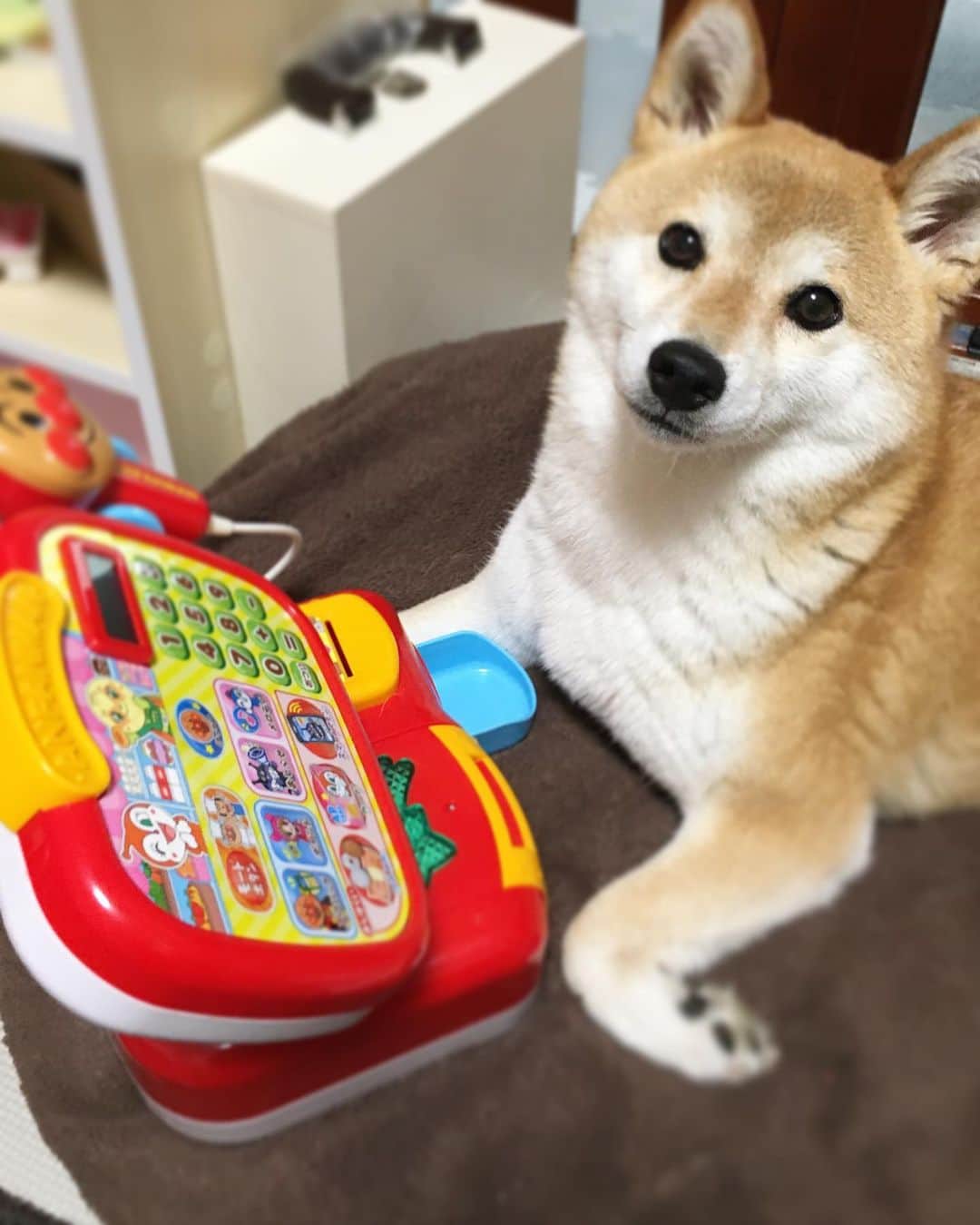 ゆもこのインスタグラム