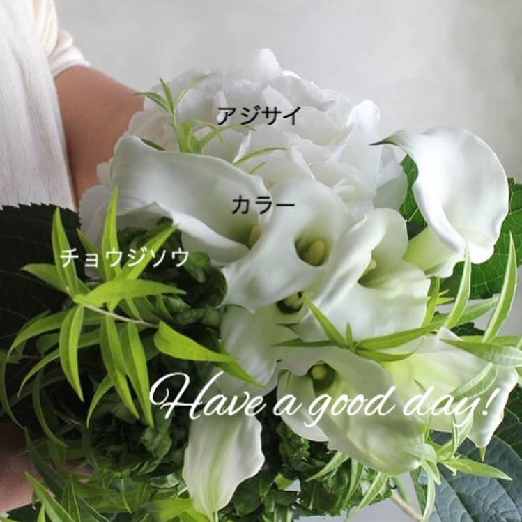 雑誌『花時間』さんのインスタグラム写真 - (雑誌『花時間』Instagram)「おはようございます。﻿ ﻿ 白いカラーを飾るとき、どんな花合わせをしていますか？﻿ ﻿ ただそれだけで美しいカラーには、多くの花材は要りません。﻿ ﻿ たとえば、こんな組み合わせ。﻿ ﻿ 白いアジサイとチョウジソウ。﻿ ﻿ なかでも、オススメはチョウジソウです。﻿ ﻿ 漢字では、丁子草。初夏に咲く薄紫の花が、横から見ると「丁」の文字に似ているからとか。﻿ ﻿ 花後のいま、グリーンとしてお花屋さんに出回っているんです。﻿ ﻿ 緑の色合いも、シュッと広がる姿もさわやかなチョウジソウ。﻿ ﻿ 夏はグリーンに強くなりたい季節ですね！﻿ ﻿ では、雨にも蒸し暑さにも負けず、元気smile😊😊😊で今週も頑張りましょう💪 by  ピーターパン﻿ ﻿ ﻿ 花 @blossom_shima   #flowers #flowerslovers #flowerstagram #flowerarrangement  #花時間 #花時間2020 #花好き #花藝 #花好きな人と繋がりたい #花が好きな人と繋がりたい #花のある生活 #花のある暮らし #花を飾る #花を飾る生活  #カラーの花  #白いカラー  #チョウジソウ  #丁子草  #夏の花 #ビタミンf  #白い花が好き #白い花 #白グリーン #花屋さんへ行こう  ﻿ ﻿ ﻿ ﻿ ﻿」7月6日 9時46分 - hanajikan_magazine