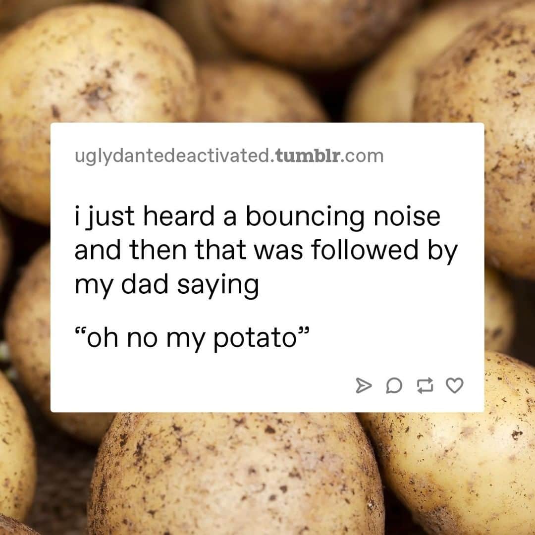 Tumblrさんのインスタグラム写真 - (TumblrInstagram)「ᴼʰ ⁿᵒ 𝖒𝖞 𝖕𝖔𝖙𝖆𝖙𝖔⁠ #potatoes #are #good」7月6日 4時25分 - tumblr