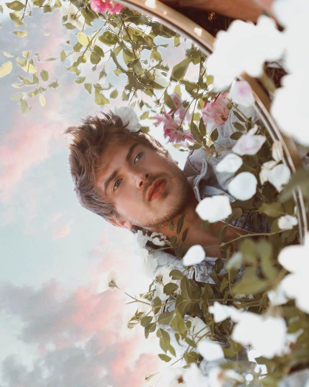 ジョーイ・グレーセッファのインスタグラム：「I hope parallel universe me is having a good day 😌🌸」