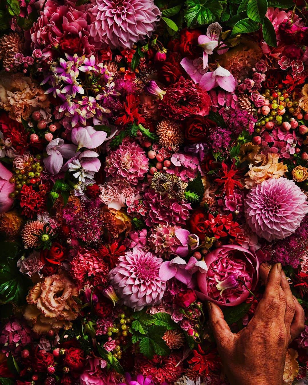 東信のインスタグラム：「Flowers #amkk #amkkproject #makotoazuma #azumamakoto #東信花樹研究所 #東信 #jardinsdesfleurs #shiinokishunsuke #flowerart #flower #flowers」