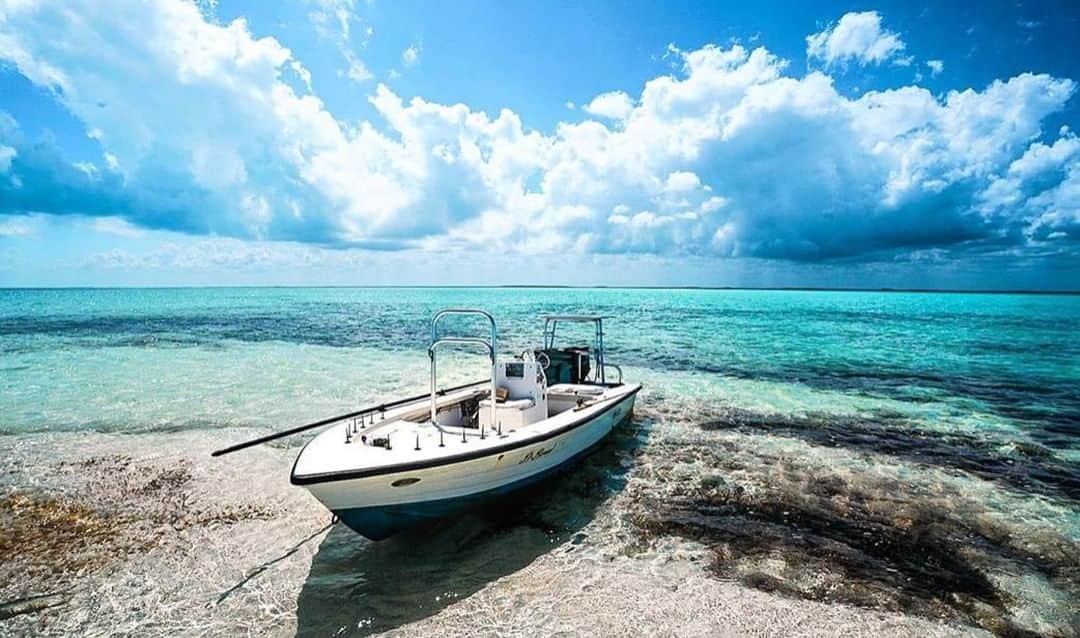 のインスタグラム：「Socially distant. 📷: @sageindendi #SeeWhatsOutThere #BornOnTheWater」