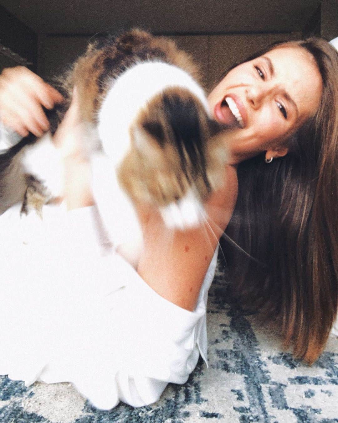 Camila Queirozのインスタグラム：「Eu sigo aqui nas tentativas de foto com a Bebê 🐱 (Belessa). Mas da pra ver que ela não curte muito não hahaha totalmente ao contrário da Céu que não pode ver a gente fazendo uma foto e já vem correndo querendo aparecer. Mas eu sigo tentando, afinal, quem resiste a essa carinha? Eu esmago muito ❤️ Primeira Foto @iude  Segunda foto @klebbertoledo」