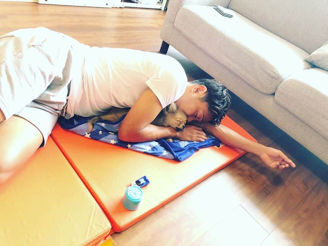 清武弘嗣さんのインスタグラム写真 清武弘嗣instagram 癒しのこむぎくん