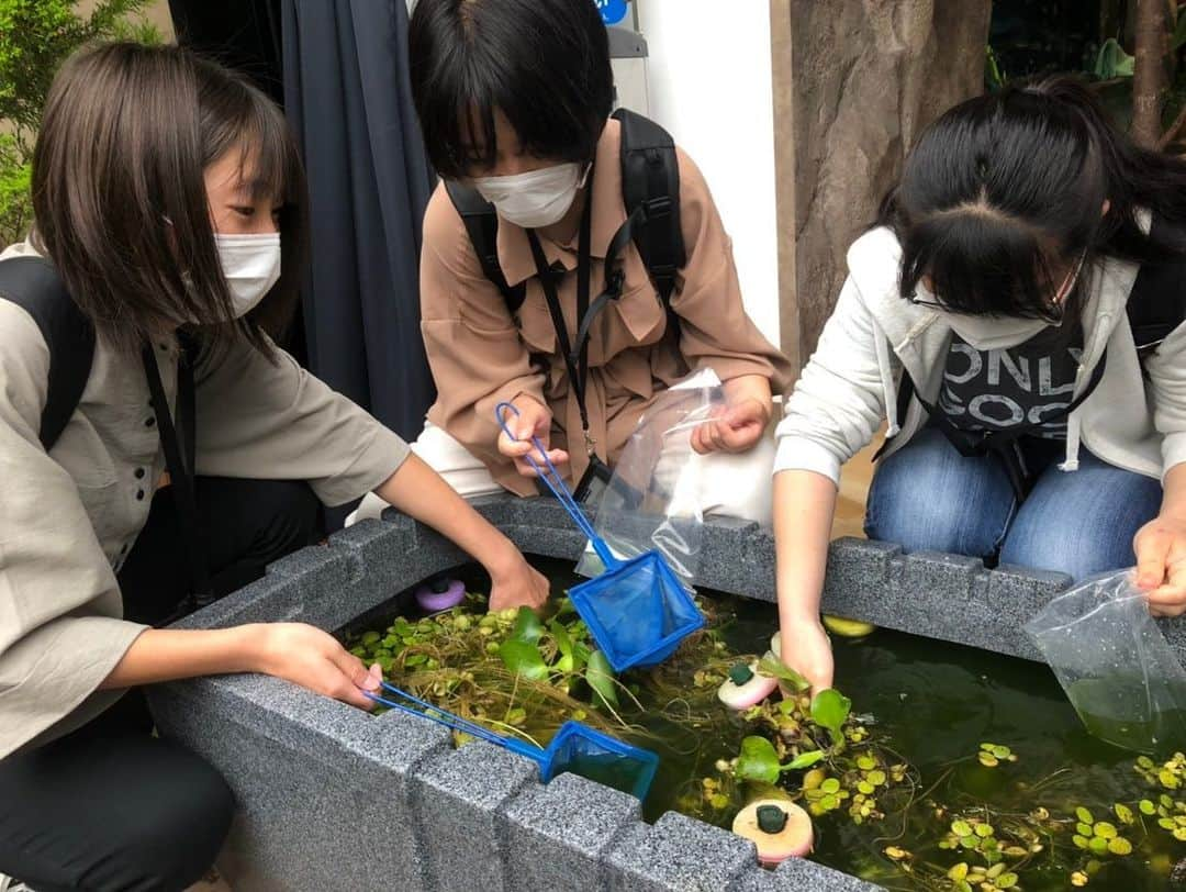 【公式】東京コミュニケーションアート専門学校ECOさんのインスタグラム写真 - (【公式】東京コミュニケーションアート専門学校ECOInstagram)「水族館アクアリスト専攻の１年生がメダカのパッキングを行っていました🐟﻿ ﻿ 初めてのことばかりで苦戦している様子もありましたが無事にパッキング終了😆👏🏻﻿ ﻿ お家まで気をつけて持って帰ってね🏠﻿ ﻿ ・－・－・－・－・－・－・－・－・﻿ ﻿ 学校説明会やオープンキャンパスも実施しておりますので、ぜひご参加ください🗣﻿ ﻿ ・－・－・－・－・－・－・－・－・﻿ ﻿ #tca東京eco動物海洋専門学校 #tcaeco #動物 #海洋 #ペット#自然環境#恐竜#専門学校#メダカ#めだか#パッキング#水族館アクアリスト専攻#アクアリスト#飼育#進路」7月6日 17時55分 - tca_eco