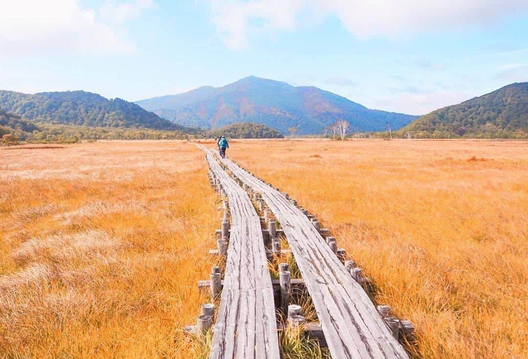 エイチ・アイ・エスのインスタグラム：「日本の写真で虹を作ろう🌈 本日は #日本のオレンジ色のセカイ よりオレンジ色のお写真をご紹介🧡 . 『尾瀬』 ずっと行きたいと思っていた、秋の尾瀬ヶ原🍁﻿ 群馬県の鳩待峠から入り、約19km歩きました。 ﻿ちょうど草紅葉の見頃で、どこまでも続く黄金色！ まるで別世界のような絶景が見られました🧡 . 📍 福島県&新潟県&群馬県「尾瀬」 📷 @chika_trip < Thank you! . . ―― 日本全国の写真で虹を作ろう ―― 色とりどりの日本の写真で全国を7色で彩りませんか？ 「#日本の〇色のセカイ」 次の7色から色を選んでを投稿してね☟ 白・赤・オレンジ・黄・緑・青・紫 集まったお写真はHISの各メディアやSNSでご紹介します😃 . 見たい景色を探して、“おうちで”世界を楽しもう♪ #次はどこに行こうかな . . #尾瀬 #アウトドア #ハイキング #国内旅行 #紅葉 #夏休み #orange  #おうち旅行 #写真好きな人と繋がりたい #ファインダー越しの私の世界 #誰かに見せたい風景 #絶景 #旅行 #世界遺産 #死ぬまでに行きたい世界の絶景 #instatravel #instapassport #instatraveling #travelgram #lovetravel #traveljapan #lovers_nippon #japan #photooftheday #japantrip #japantravel #japan」