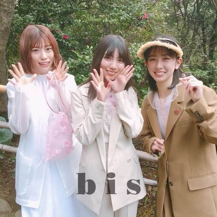 bis_web bis [ビス] のインスタグラム