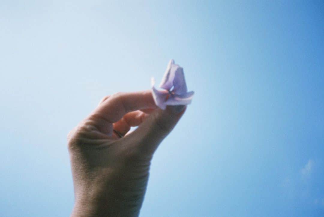 花盛友里のインスタグラム：「Flower for a blue Monday.」