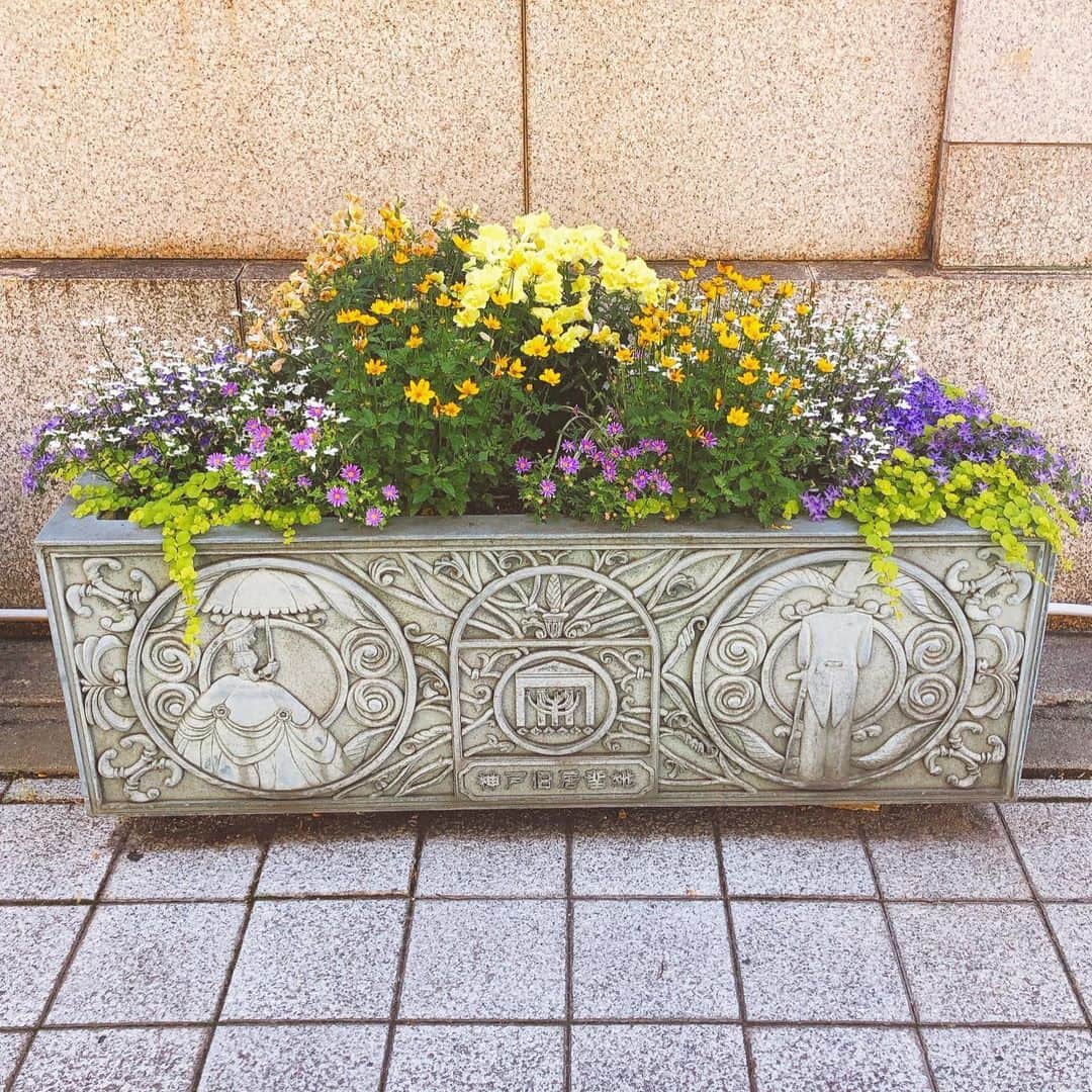 太田りこさんのインスタグラム写真 - (太田りこInstagram)「神戸感溢れてる🌼🏵💠 —— #kobe #kobejapan #bekobe #flowers」7月6日 10時50分 - porico0617