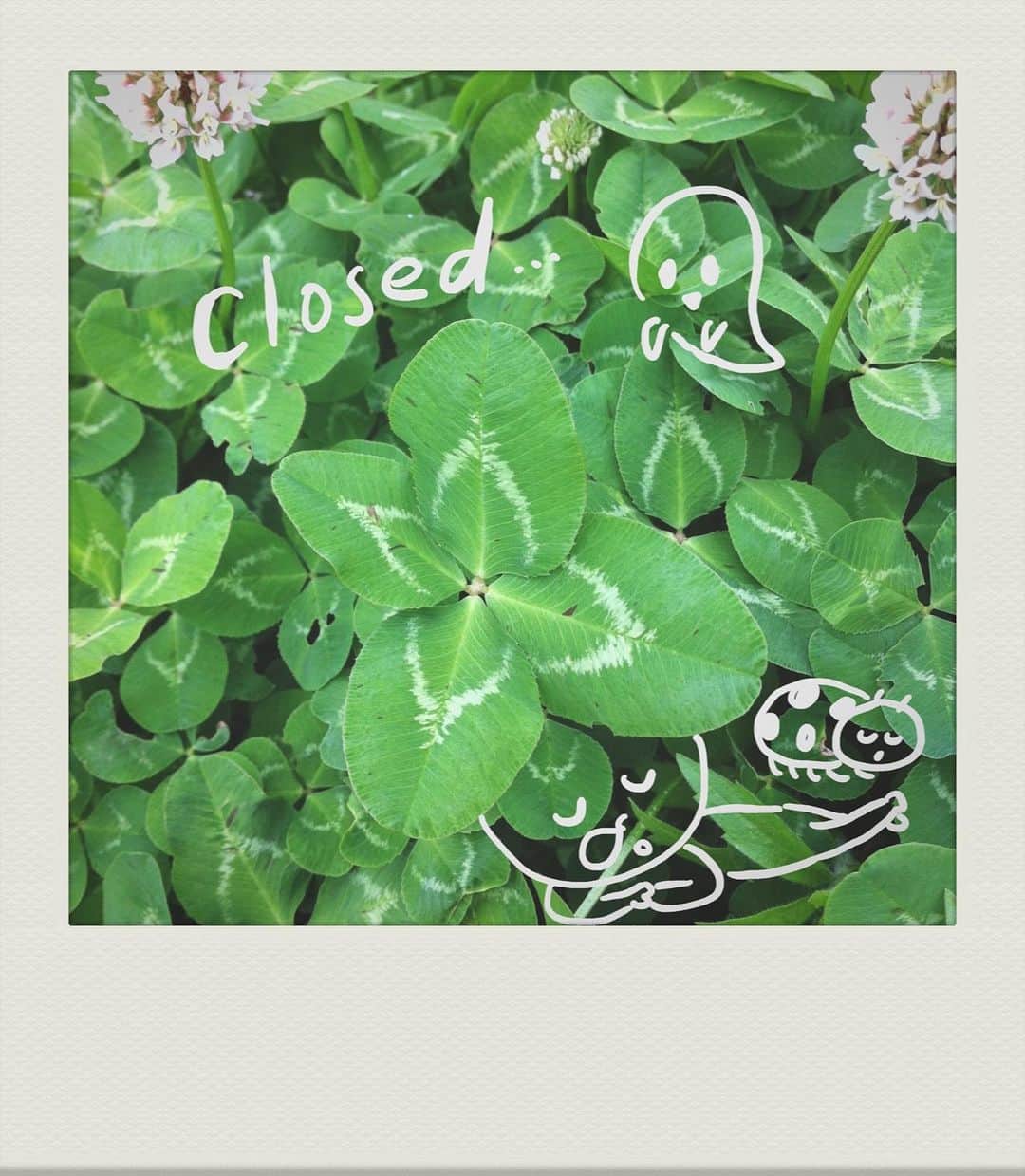 朝倉世界一のグルメインスタ