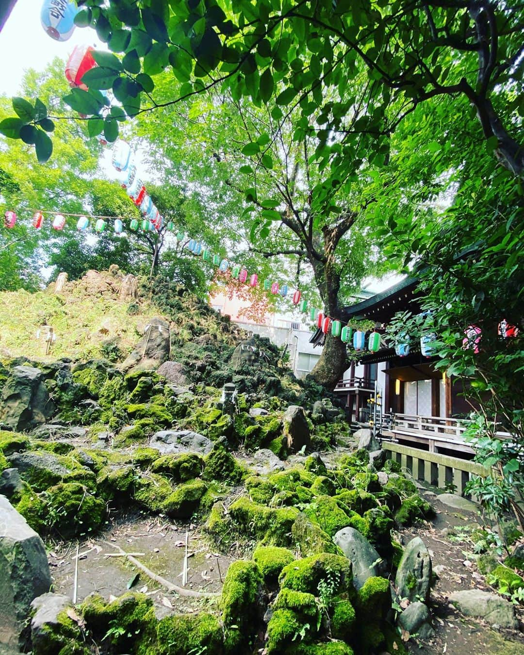 SHOCK EYEさんのインスタグラム写真 - (SHOCK EYEInstagram)「学問、仕事、芸能の神様の祀られる小野照崎神社⛩ 立派な富士塚があったり、大好きな浅間神社や、三峯神社の末社があったから、すごく縁を感じた神社。 今またコロナが戻ってきて、　 神社には行きづらい状況だから、 是非、僕のインスタで行った気になってください🙏✨ #小野照崎神社 #先月参拝 #マスク着用 #写真撮る時だけマスクはずして #参拝 #神社 #夏詣」7月6日 11時07分 - shockeye_official