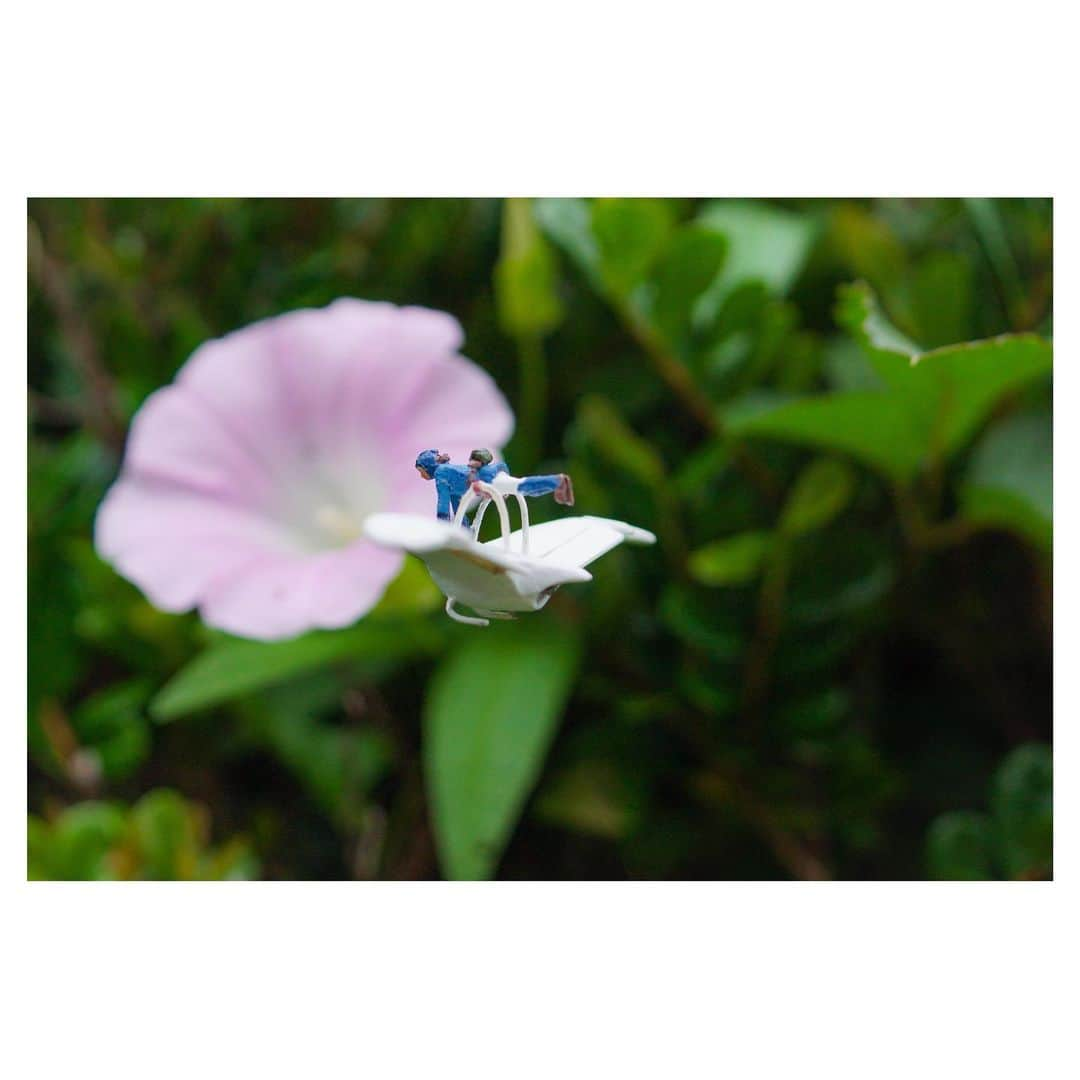 nqouのインスタグラム：「#風の谷のナウシカ #ナウシカ #nausicaa #ジブリ #ghibli  #ミニチュア #miniature #nqouminiature」