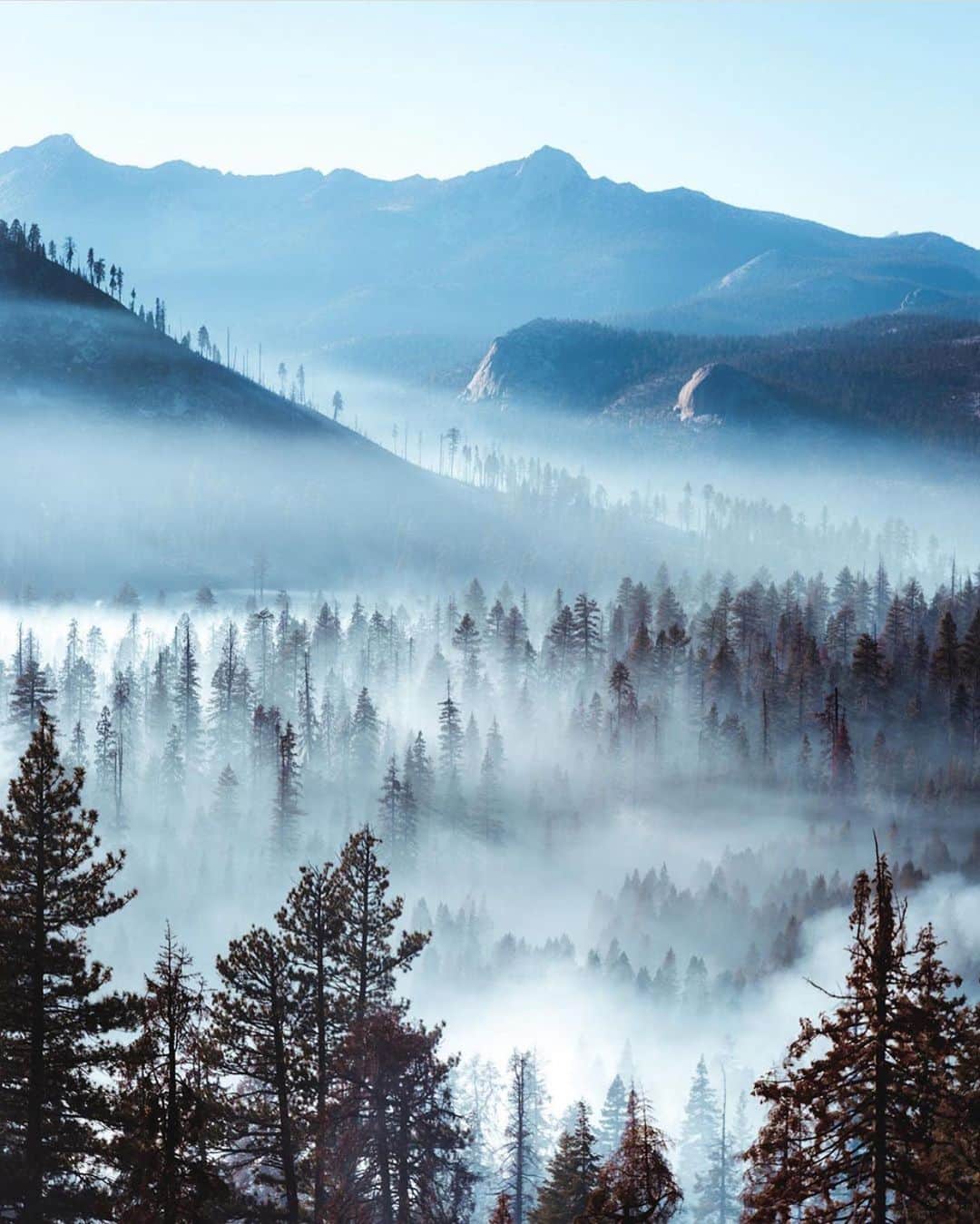 FOLKのインスタグラム：「I think it’s safe to say @ryanresatka is one of my favorite accounts to follow. He shot this one in Yosemite.」