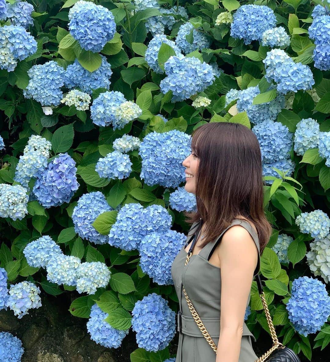 のインスタグラム：「こんにちは♡ ・ ・ 紫陽花綺麗～💙💙💙 ・ ・ ・ #有馬#六甲#紫陽花#お花好きな人と繋がりたい #あじさい#梅雨#花#癒される#景色#flower」