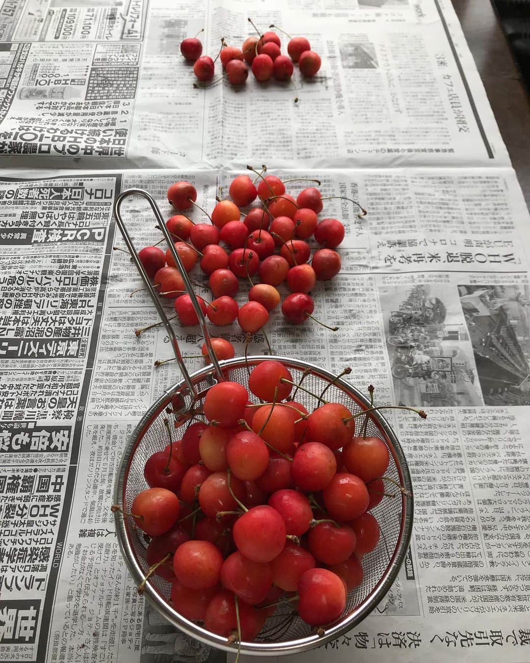メルロコ一家の楽屋裏のインスタグラム