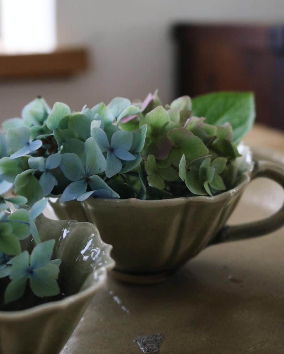 masakiさんのインスタグラム写真 - (masakiInstagram)「Mon.6 Jul.2020 雨 ステージから引退した方々。 時間を経て老いても老いたなりの美しさがある。 青から緑へ、そして深みあるボルドーへと まだまだ七変化している紫陽花。 骨董の大きな石皿に、お気に入りの器をのせて さっそく花あそび。 深みあるビー玉のような緑色の稜花の器が 最後の紫陽花にはぴったり♡ この器は、我が家でも愛用している @kozikozi14tatumi さんのもの。 今週土曜日からクロスshop @hugowar_vintagechic にて個展がはじまります。 たのしみー♡」7月6日 13時56分 - mogurapicassowols