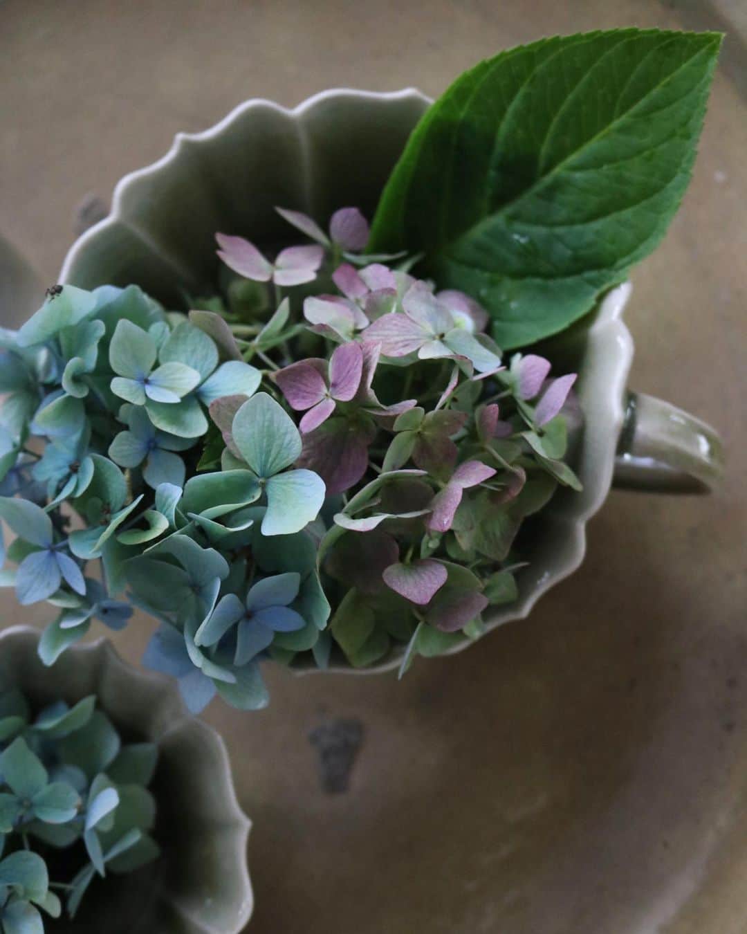 masakiさんのインスタグラム写真 - (masakiInstagram)「Mon.6 Jul.2020 雨 ステージから引退した方々。 時間を経て老いても老いたなりの美しさがある。 青から緑へ、そして深みあるボルドーへと まだまだ七変化している紫陽花。 骨董の大きな石皿に、お気に入りの器をのせて さっそく花あそび。 深みあるビー玉のような緑色の稜花の器が 最後の紫陽花にはぴったり♡ この器は、我が家でも愛用している @kozikozi14tatumi さんのもの。 今週土曜日からクロスshop @hugowar_vintagechic にて個展がはじまります。 たのしみー♡」7月6日 13時56分 - mogurapicassowols