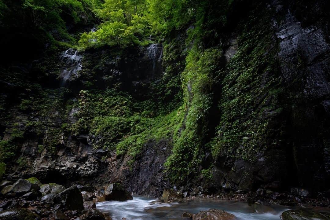 日本の国立公園さんのインスタグラム写真 - (日本の国立公園Instagram)「Photo by @uranotakechan⠀ https://www.instagram.com/p/CB6_w9_jZyt/⠀ .⠀ #日光国立公園⠀ #NikkoNationalPark⠀ .⠀ On our Instagram, we will also share wonderful photos of National Parks of Japan posted on Instagram with the tag #nationalparksjp. We look forward to your participation!⠀ .⠀ *Novel coronavirus pneumonia Information：Japan National Tourism Organization’s(JNTO) twitter account⠀ https://twitter.com/japansafetravel⠀ .⠀ #NationalPark #nationalparks #nature #findyourpark #instafollow #japan #landscape #landscape_lovers #ourplanetdaily #landscapephotography #hiking #outdoors #traveling #travel #explore #visitjapanjp #日本 #國家公園 #일본 #국립공원 #国立公園」7月6日 15時00分 - nationalpark_japan