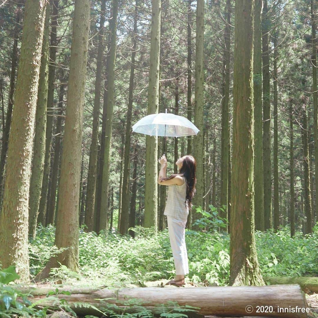 innisfree official (이니스프리) さんのインスタグラム写真 - (innisfree official (이니스프리) Instagram)「촉촉한 생기를 머금은 이곳, 사려니 숲길에 놀러 왔어요🌳 ⠀ A place that holds dewy vitality. I came to visit Saryeoni Forest Path🌳」7月6日 15時35分 - innisfreeofficial