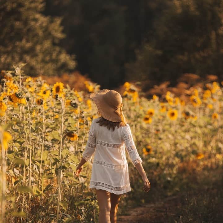 Melvita Officialのインスタグラム：「“Comme les tournesols suivez toujours le soleil, plongez dans sa lumière et brillez chaque jour.” 🌻  En ce Lundi, qu’on soit en vacances, au bureau ou en télétravail, on fait le plein d’ondes positives ! ☀  Et vous, vous êtes dans quelle team ?  #monday #lundi #goodvibes #summer #été #soleil #tournesol #sunflower」