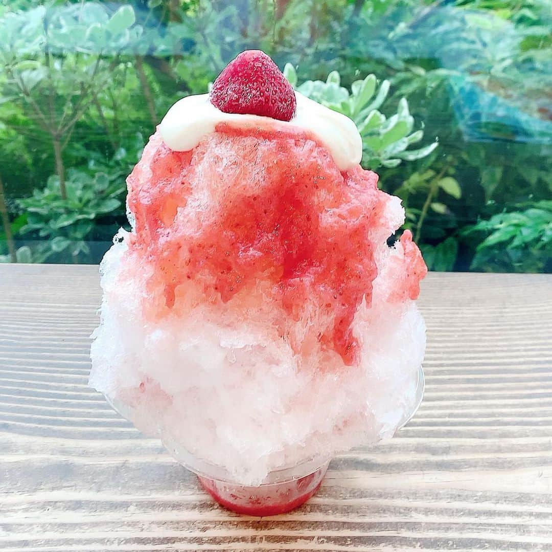 SPARAのグルメインスタ