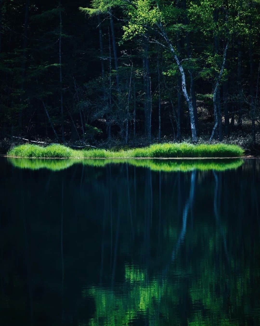 ?長野県 観光 公式インスタグラム さんのインスタグラム写真 - (?長野県 観光 公式インスタグラム Instagram)「//﻿ Photo by @_maaa910 ﻿ Mishaka Pond (Chino City)  Tranquil Mishaka Pond was the inspiration behind Higashiyama Kaii’s painting “Midori Hibiku.”  The pond is wrapped in a quiet and mysterious atmosphere, the surrounding mountains and trees reflecting clearly in its mirror-like surface. ﻿ ==========﻿ ﻿ 静寂が広がる 「御射鹿池」(みしゃかいけ) ＠茅野市  画家・東山魁夷氏による 『緑響く』のモチーフにもなった 「御射鹿池」🍃  静かな水面には 周囲の山や木々が まるで鏡のように映り込みます 神秘的な雰囲気と 静寂に包まれた絶景スポットです✨ ﻿ ーーーーーーーー ﻿ Location /Chino City, Nagano, Japan﻿ ﻿ #おうちでながの﻿ #長野のいいところ﻿ #御射鹿池 #茅野市」7月6日 17時00分 - nagano_japan