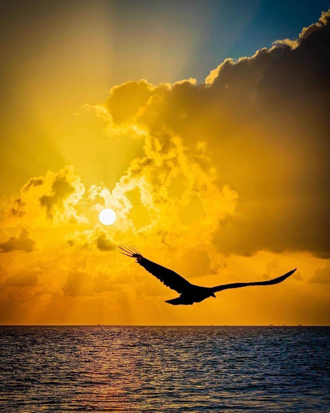 Discover Earthさんのインスタグラム写真 - (Discover EarthInstagram)「🇺🇸 #discoverFlorida with @oaliving :"“In order to carry a positive action we must develop here a positive vision.” Dalai Lama. Sunrise. Miami, Florida." Happy Monday !」7月6日 17時00分 - discoverearth