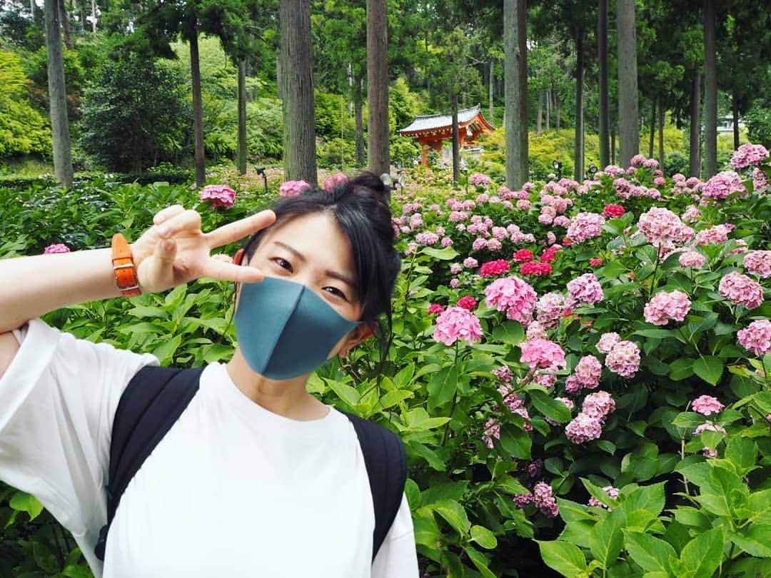 服部ひで子のインスタグラム：「紫陽花の  人の楽しませ方  すごい😚😚😚🌸💙💚💛💜💝  #紫陽花 #あじさい  #京都 #三室戸寺」