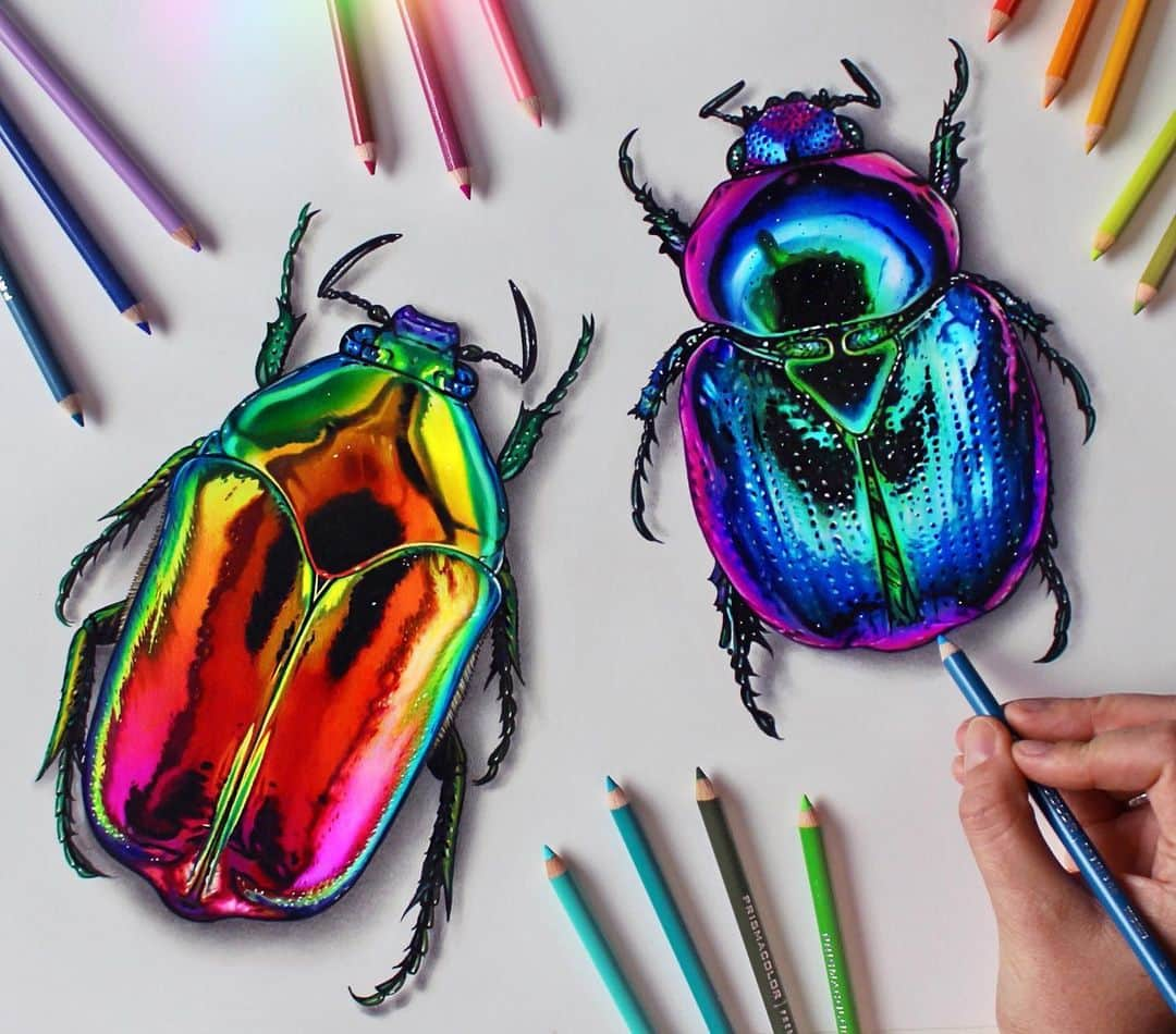 Morgan Davidsonのインスタグラム：「Starting off this announcement with my colored pencil and marker rainbow beetle drawing! (Story process videos coming soon) 🐞💖  First of all, I just want to say the biggest thank you ever to all of the kind souls, talented artists and overall AMAZING people who participated in my giveaway. I looked through almost every post today and honestly don’t have words to describe how it made me feel. All I can say is thank you from the bottom of my heart. ❤️ It’s always exciting announcing the winners but a part of me feels equally sad I can’t give a little something to each of you. Just know I hold these giveaways as often as I can afford and will continue to try to find ways to support and spread joy through our artistic community. 🥰   So without further ado the winners of my 2020 summer giveaway are:  🎉🎉🎉🎉🎉🎉🎉🎉 1st place @prantika_arts 2nd place  @art_by_sage 3rd place @edwingb_art  🎉❤️Please DM your addresses to me! 🎉❤️」