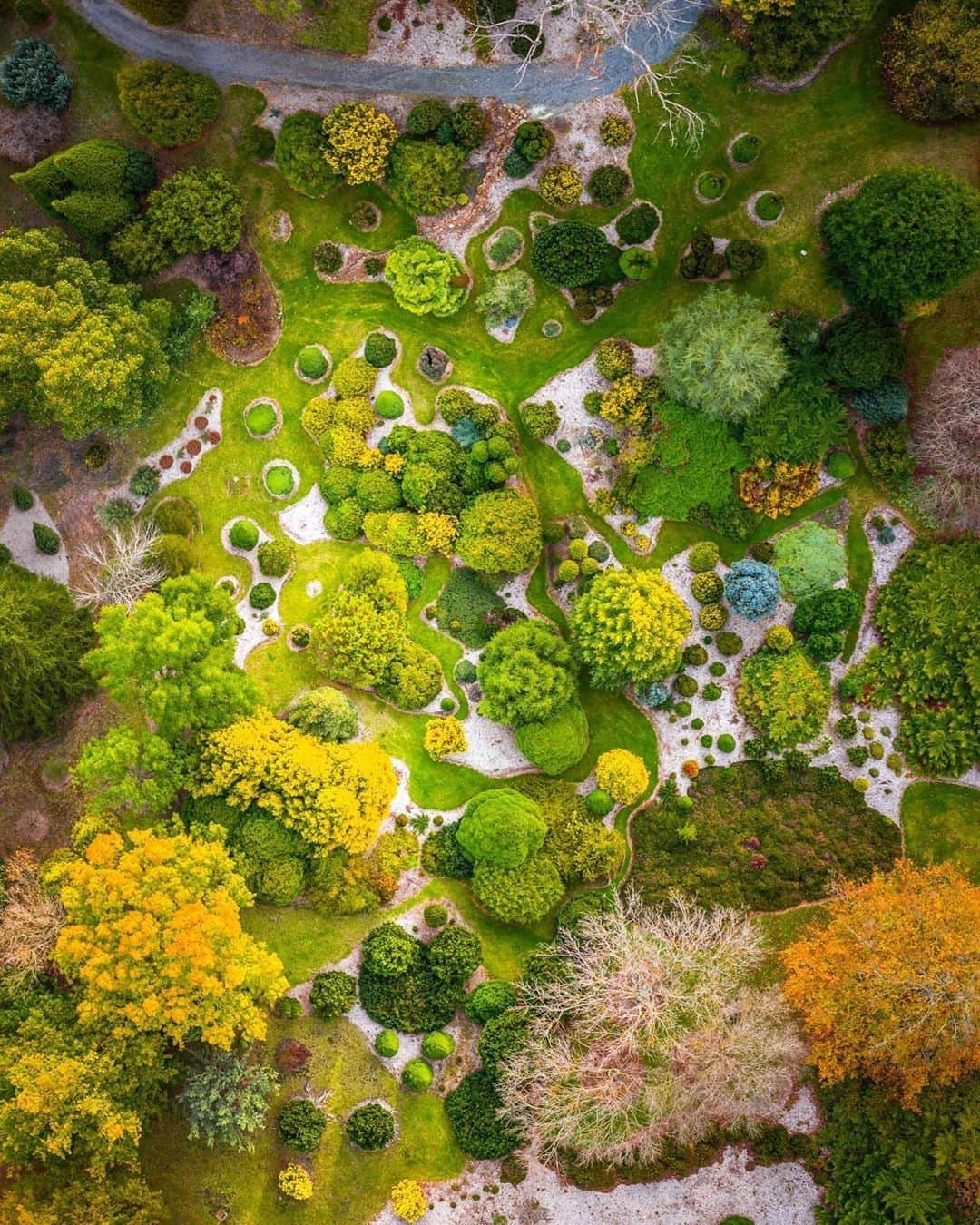 Australiaさんのインスタグラム写真 - (AustraliaInstagram)「There’s certainly no shortage of natural beauty in @southaustralia! 💚 @__serio__ captured this spectacular perspective of #MountLoftyBotanicGardens bursting with colour in @visitadelaidehills. Located just 30 minutes from #Adelaide, a quick drive from the city will bring you to this secluded 97-hectare garden. Explore the estate on a free guided walk, or meander along the multitude of paths at your own leisure - either way, we guarantee you’ll unwind and reconnect with nature. TIP: Make a weekend out of your #AdelaideHills visit by popping into one of the regions many #wineries followed by a night of indulgence at @mountloftyhouse. #seeaustralia #visitadelaidehills #seesouthaustralia」7月6日 20時00分 - australia