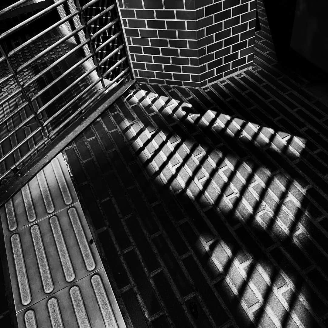 naotakeのインスタグラム：「しましま - Stripes / iPhone XR & Snapseed, 20200707 . . ナイトスクープに真栄田が戻ってきた（@テレ玉）。 . . #spicollective #royalsnappingartists #infamous_family #rsa_main #infinity_photo_cult #2_fineart #jp_gallery_member #jp_gallery_bnw #trb_bnw #wp_bnw  #bnw_life #bnwlife_member #bnw_life_shots #bnw_captures #world_bnw #top_bnw #team_jp_ #team_jp_モノクロ #ig_energy_bw #ig_nihon #streetphotographybnw #igersjp #blackandwhite #bnw #bnwphoto #monochrome #bw #bnwphotography #ShotOniPhone #shotoniphoneXR」