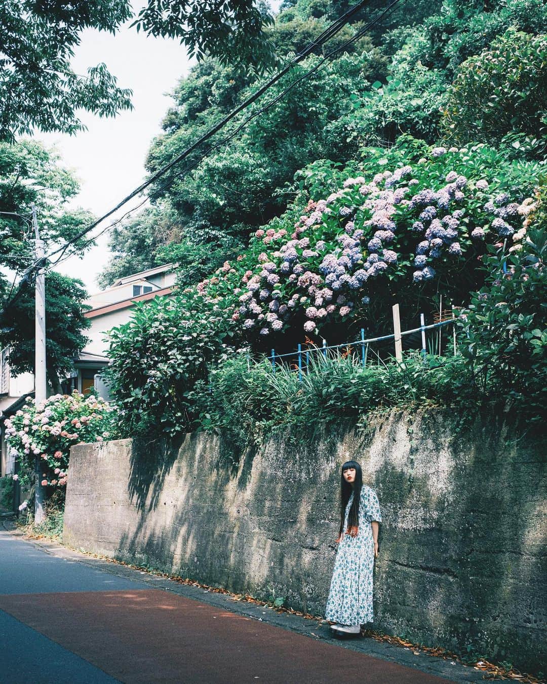 haru wagnusさんのインスタグラム写真 - (haru wagnusInstagram)「Kamakura Ajisai  ㅤㅤㅤㅤㅤㅤㅤㅤㅤㅤㅤㅤㅤ ㅤㅤㅤㅤㅤㅤㅤㅤㅤㅤㅤㅤㅤ 鎌倉周辺は不思議な場所だなってずっと思ってる。ぼくが子供の頃から、あまり漂っている空気感が変わらない。街並みから感じる、懐かしさ、情緒、ハイカラさ。 ㅤㅤㅤㅤㅤㅤㅤㅤㅤㅤㅤㅤㅤ ぼく自身が幼少期を近くの葉山市で育って、その時を思い起こすからなのかもしれないって思ってた。でも一緒に撮影したセナちゃんも同じように感じているようだった。 ㅤㅤㅤㅤㅤㅤㅤㅤㅤㅤㅤㅤㅤ そうか…もしかしたら、鎌倉には、皆に共通して感じることのできる、そんな空気感が色濃くあって、きっと皆それを感じているから、こんなに愛されている街なのかな。老後でもいいや、いつかこの街の近くにまた住みたいんだよね。 ㅤㅤㅤㅤㅤㅤㅤㅤㅤㅤㅤㅤㅤ ㅤㅤㅤㅤㅤㅤㅤㅤㅤㅤㅤㅤㅤ #鎌倉　#kamakurajapan  #紫陽花　#hydrangea」7月6日 20時34分 - wagnus