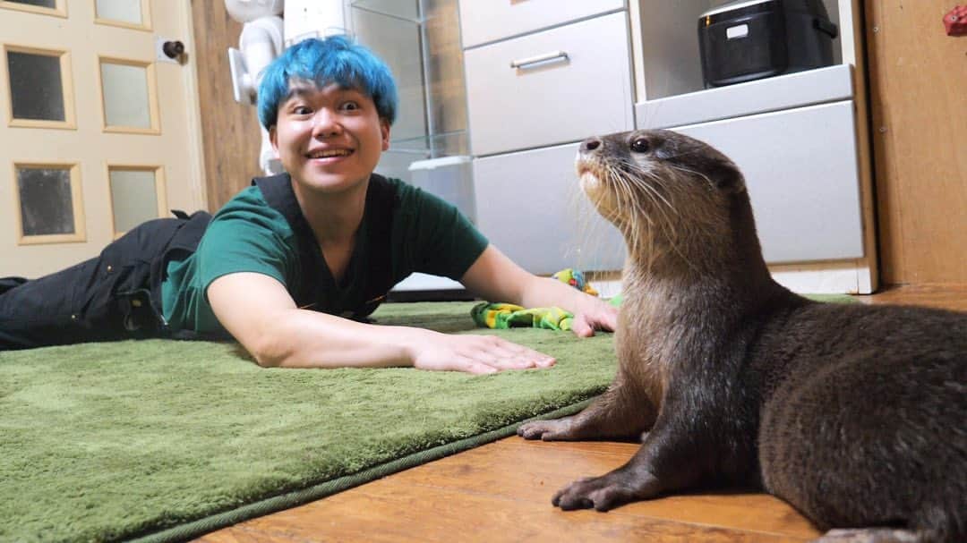 相馬トランジスタのインスタグラム：「カワウソのしゃもじ君と人間のえいきち君  #かわいいは正義」