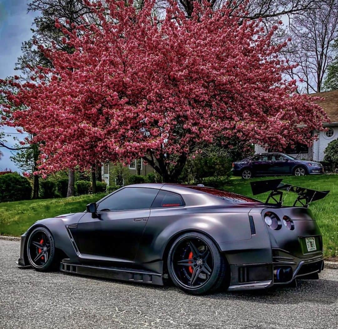 Nissanさんのインスタグラム写真 - (NissanInstagram)「Even fast cars like to stop and smell the flowers every now and then #NissanGTR 📷 @rpjeweler」7月6日 22時00分 - nissan