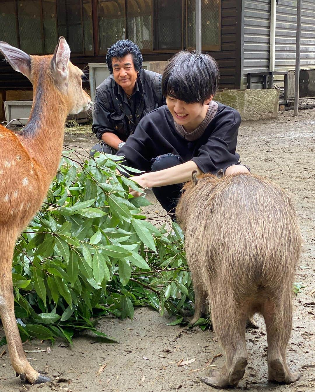 藤岡真威人さんのインスタグラム写真 - (藤岡真威人Instagram)「めざましテレビのロケでは、こんなシーンもありました〜﻿ 他にも動物たくさんいて楽しかったです😊  #めざましテレビ#動物#かわいい」7月6日 22時03分 - maito_fujioka