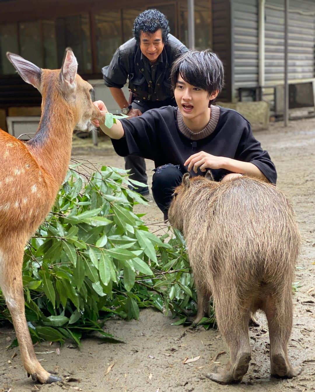 藤岡真威人さんのインスタグラム写真 - (藤岡真威人Instagram)「めざましテレビのロケでは、こんなシーンもありました〜﻿ 他にも動物たくさんいて楽しかったです😊  #めざましテレビ#動物#かわいい」7月6日 22時03分 - maito_fujioka